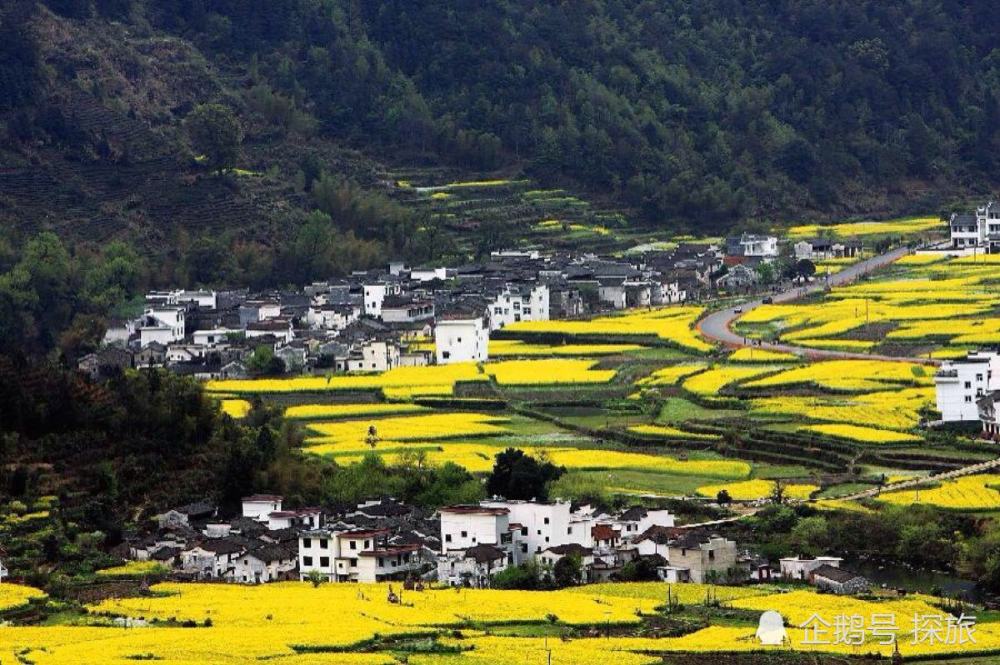 江西之旅，初探与感悟