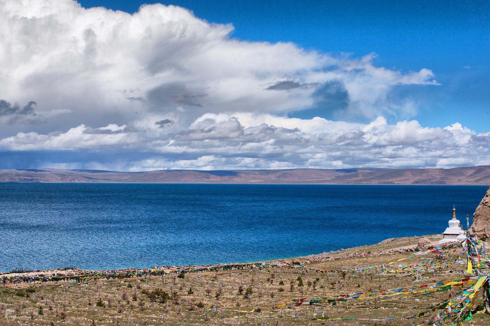 高原之梦，藏韵独白，心灵之旅