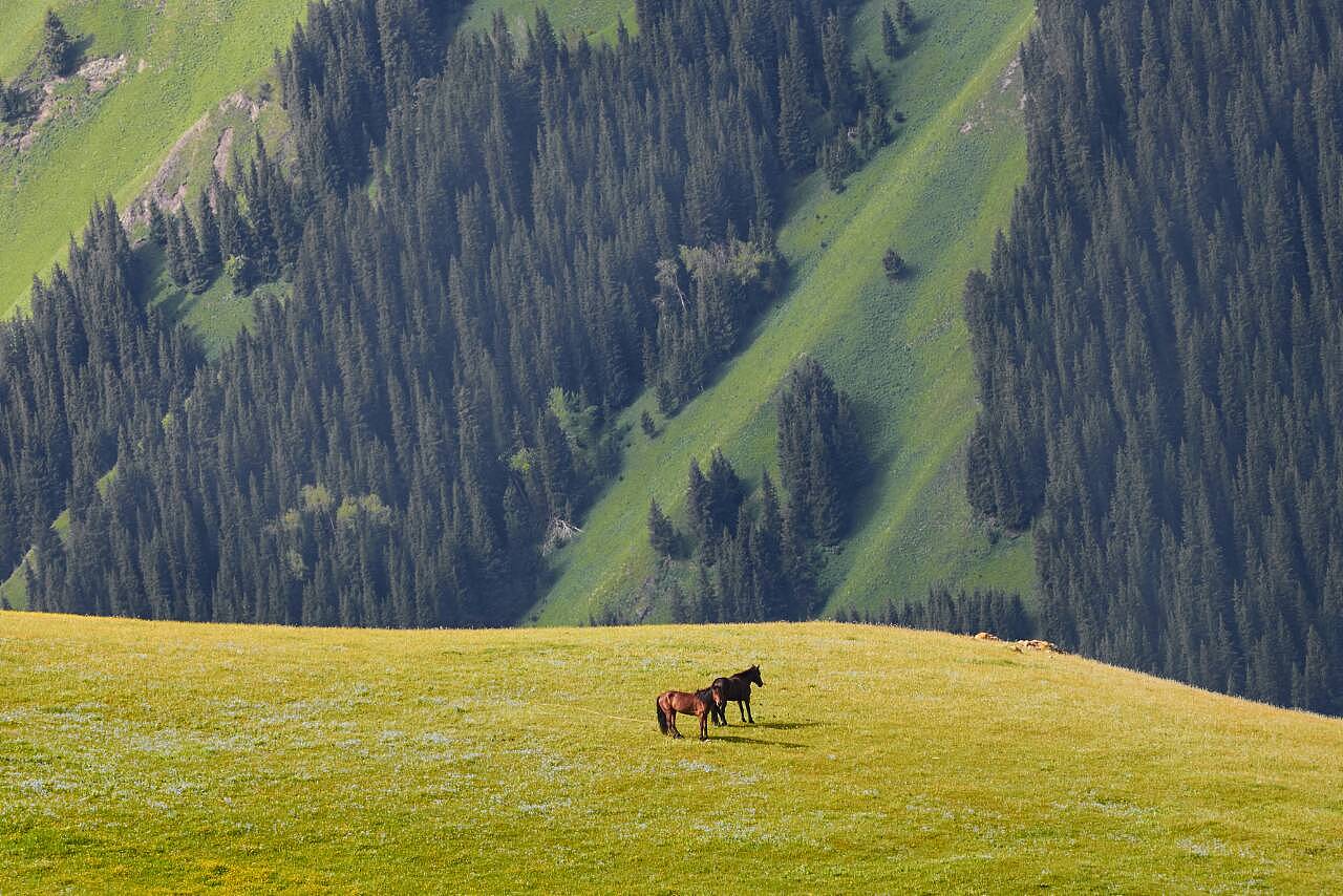 西域壮美新疆画卷